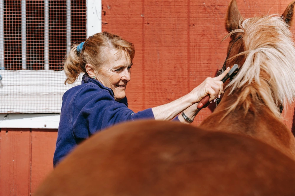 Proper Horse Grooming Tips and Products You Need